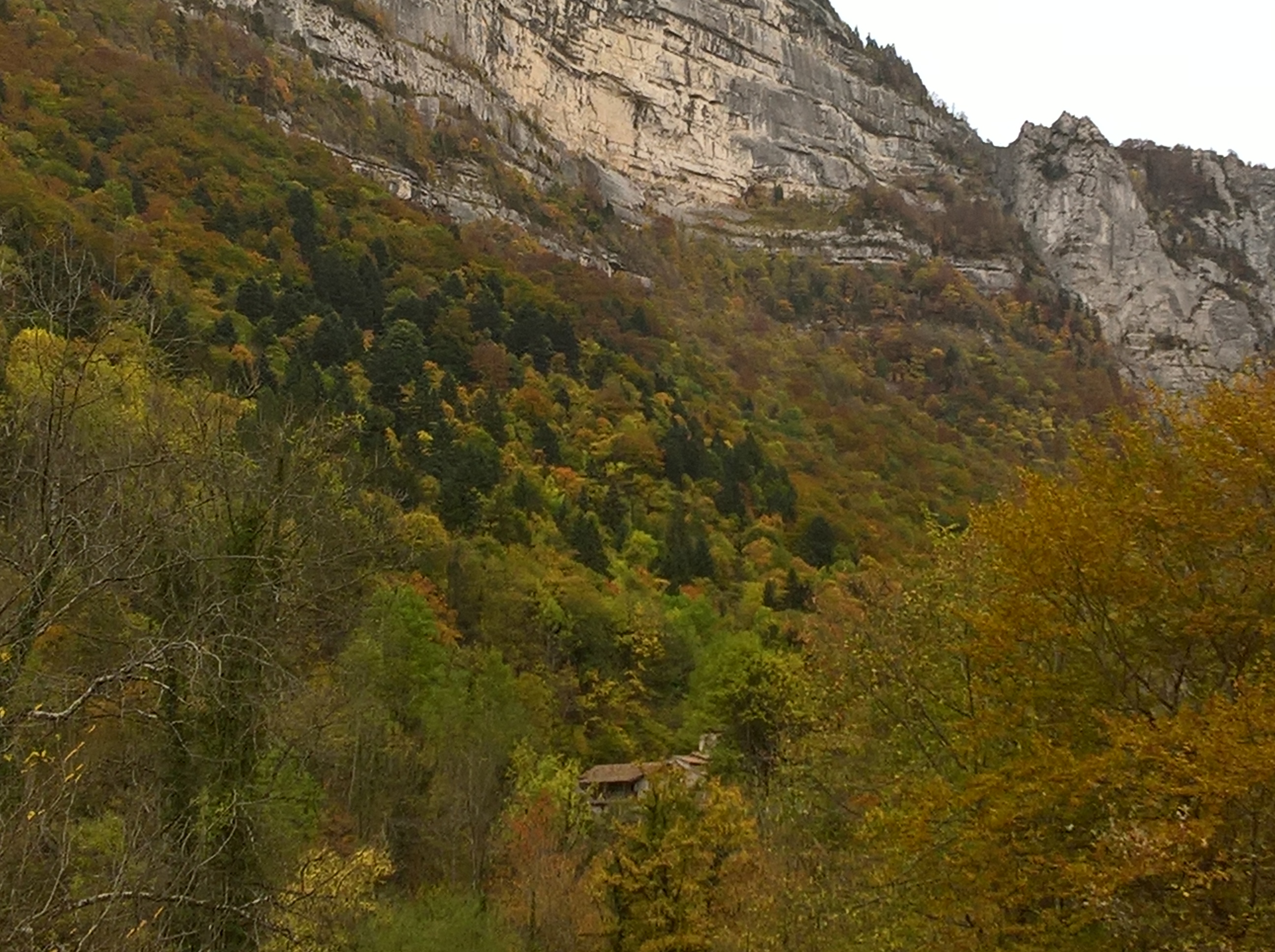 Les falaises de Combe Laval